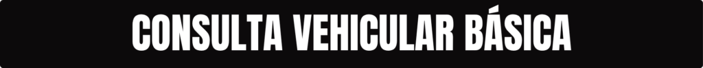 CONSULTA VEHICULAR BASICA 1